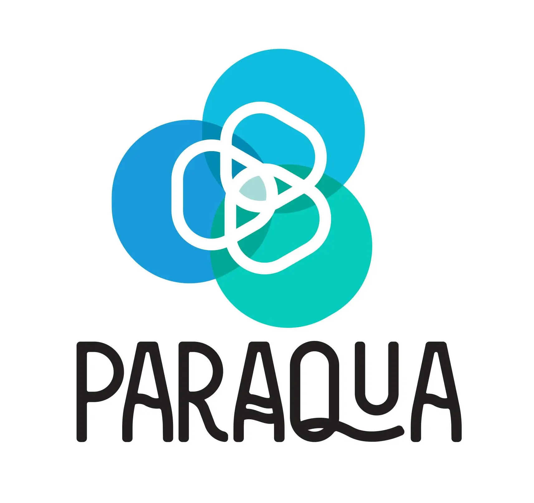 Logo of ParAqua - interlocking blue circles above the black text