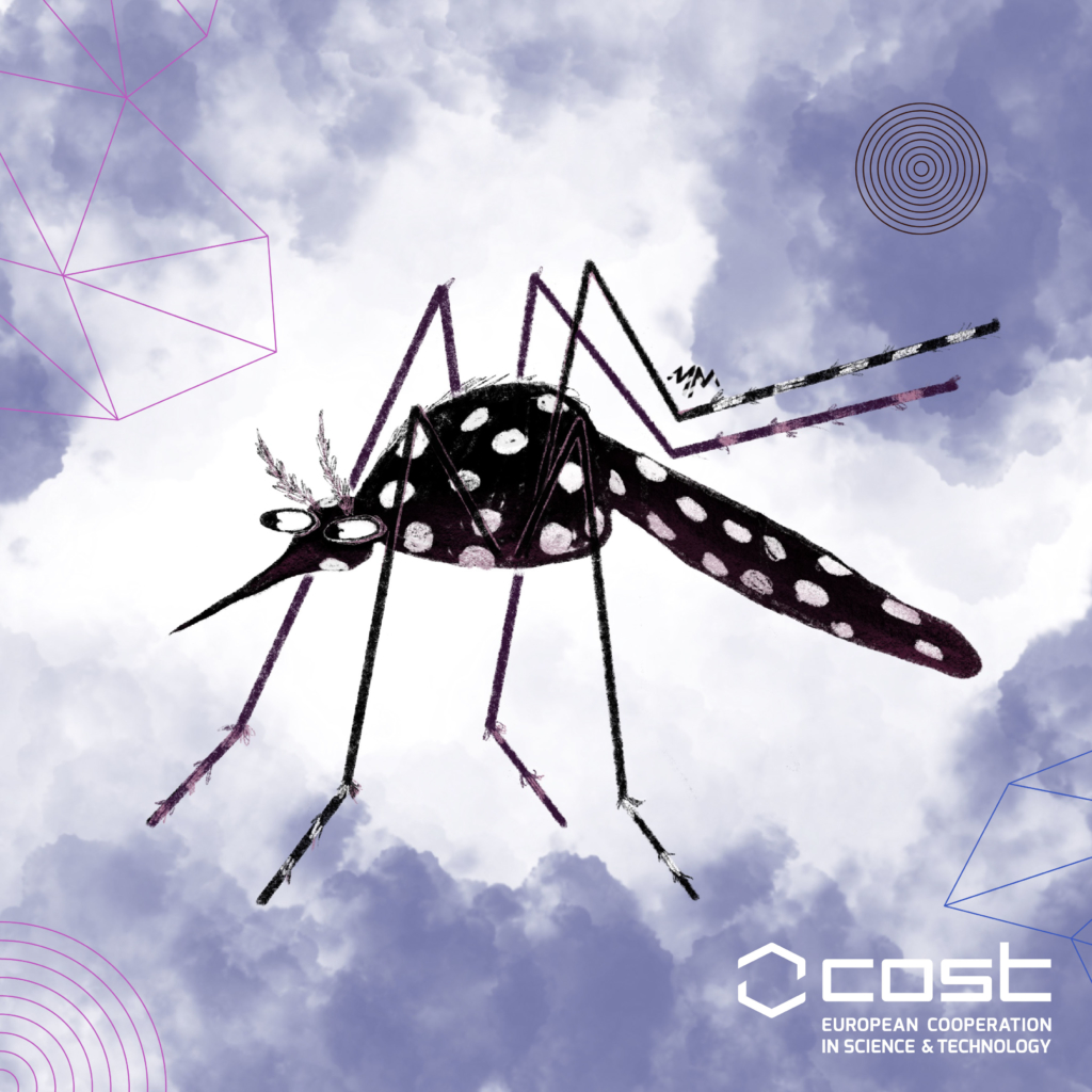 Hand drawn illustration of a mosquito