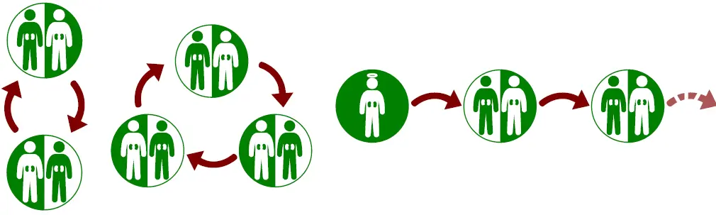 ENCKEP and KEP-SOFT Cycles Chains: a two-way exchange, a three-way exchange, and an altruistic donor chain